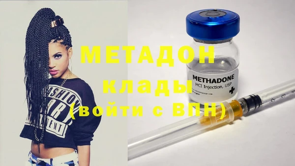 стаф Аркадак