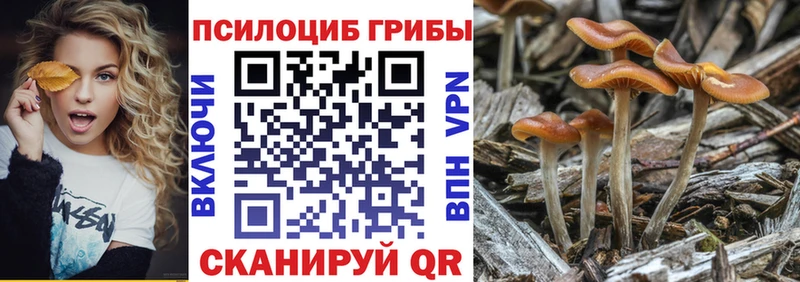 Псилоцибиновые грибы Psilocybine cubensis  Прохладный 