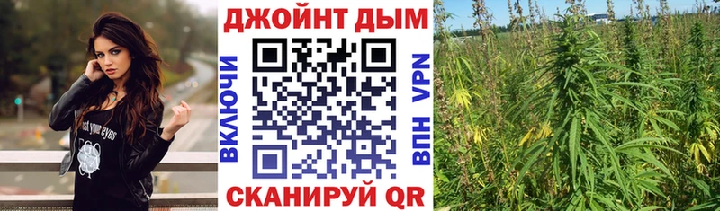 где можно купить наркотик  мориарти клад  МЕГА вход  Бошки марихуана конопля  Прохладный 